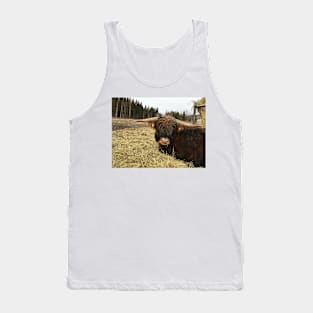 Scottish Highland Cattle Bull 2337 Tank Top